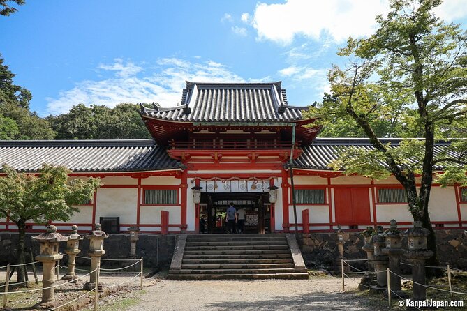 Kamakura Full Day Tour: Kotoku-in & Enoshima & Hachimangu Shrine - Exploring Enoshima