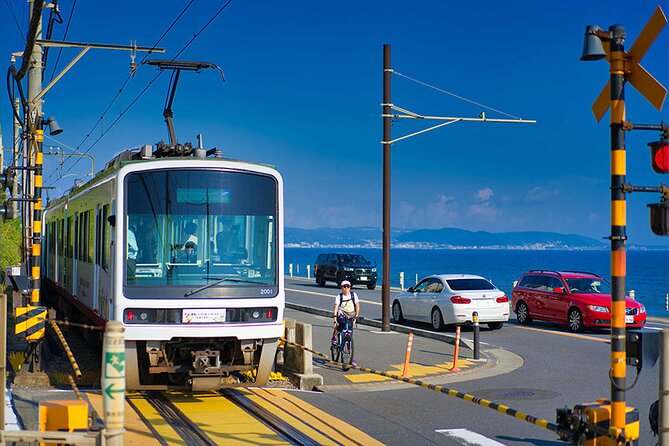 Kamakura Half Day Tour With Local Expert Guide - Savoring the Local Cuisine and Delicacies
