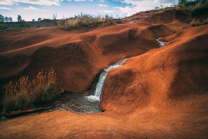 Kauai Island Private Guided Tour-Waimea Canyon From Lihue/Kapaa - Meet Your Knowledgeable Guide