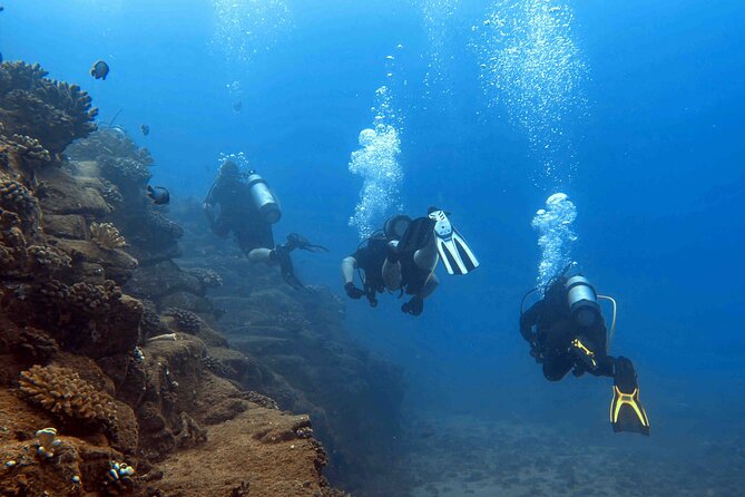 Kauais Exclusive Morning Scuba Charter for Experienced Divers - Booking Information