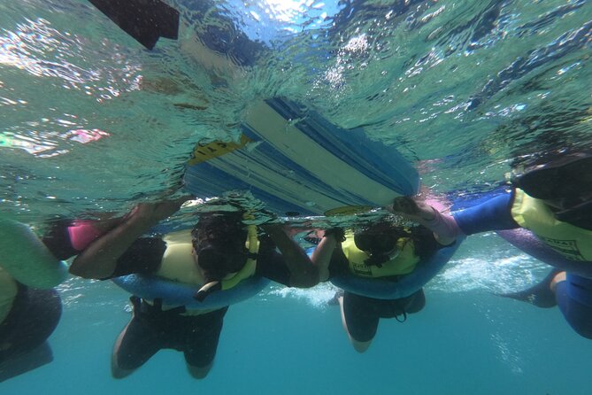 Kauais Ultimate Guided Shore Snorkel (NO BOAT): North Anini - The Sum Up