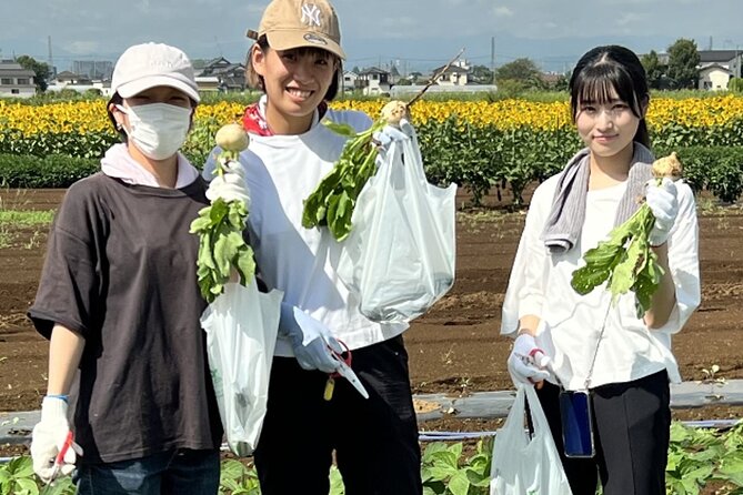 Kawagoe Sightseeing and Experience Tour to Harvest Local Foods - Sightseeing in Kawagoe