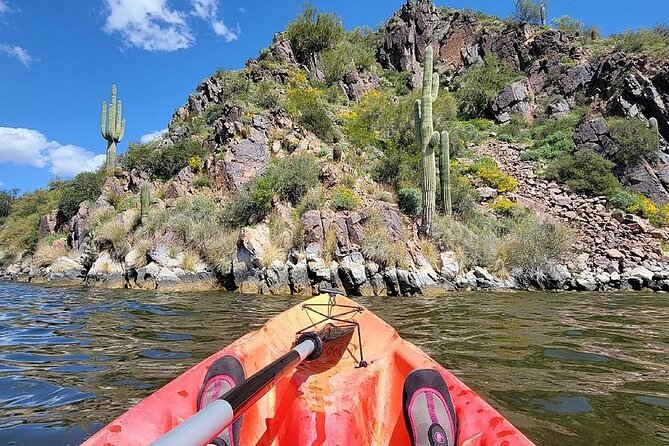 Kayaking 3 Hr Canyon & Cliffside on Saguaro Lake - What to Expect During the Excursion