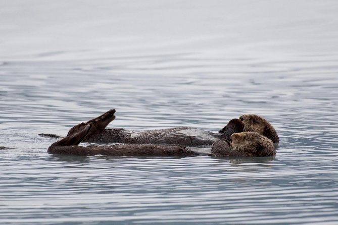 Kenai Fjords Orca Quest Cruise - Preparing for the Cruise