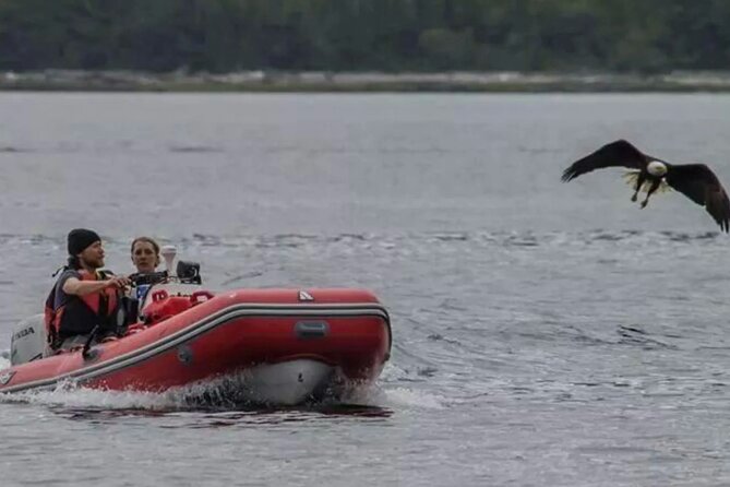 Ketchikan Zodiac Adventure - What to Expect During the Tour