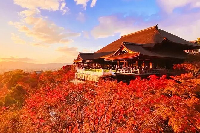 Kiyomizu Temple Fushimi Inari and Nara Park Day Tour Kyoto/Osaka - Highlights of the Tour