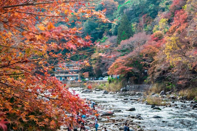 Korankei Gorge Number 1 Autumn Colors View Spot - Experiencing the Guided Tour