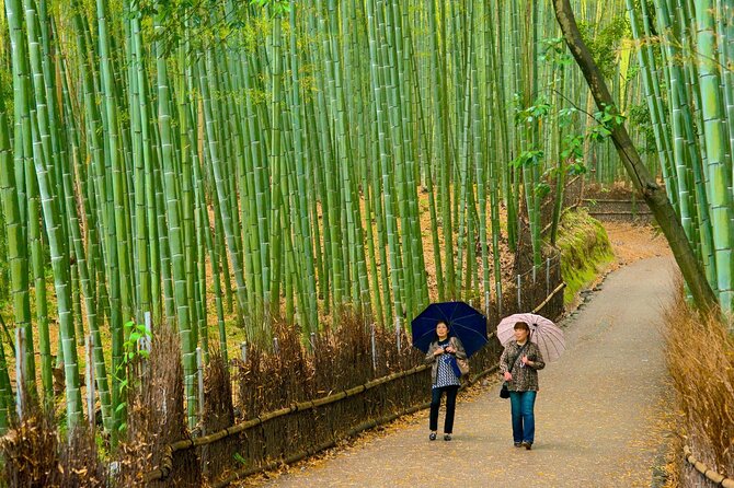 Kyoto Arashiyama Fushimi Inari Taisha Shrine and Nara Park Tour - Arashiyama Bamboo Grove