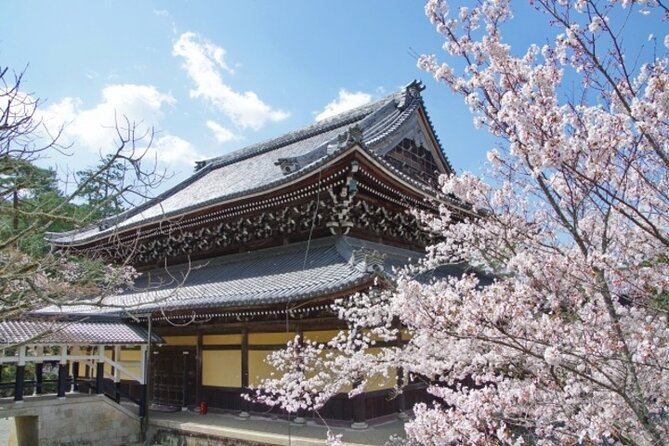 Kyoto Cherry Blossom With Miyako Odori 1 Day Walking Tour - Cancellation Policy
