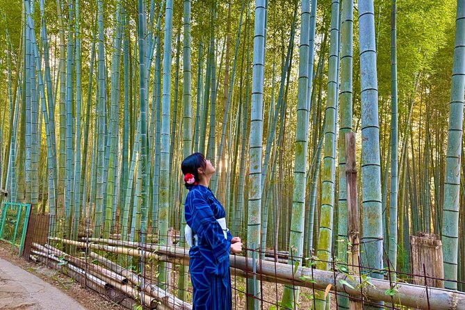 Kyoto Early Morning Tour: Top Landmarks in Half a Day - Philosophers Walk