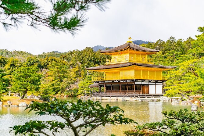 Kyoto Private Tour With National Licensed Guide - Dietary Accommodations