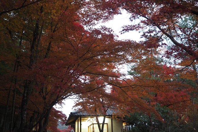 Kyoto Tour in Spanish: Fushimi Inari Bamboo Forest and Kinkakuji - Booking Details