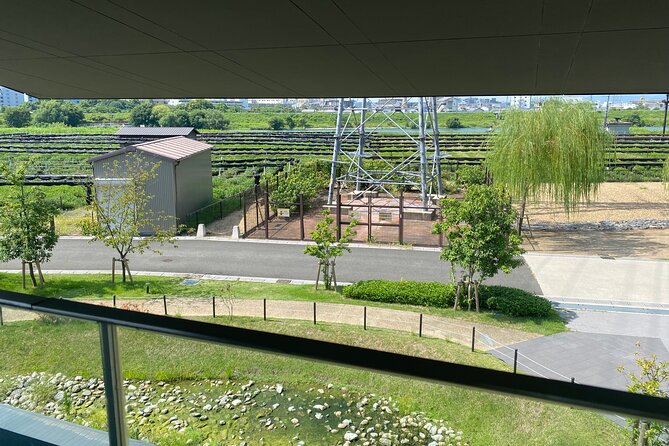 Kyoto Walking Series: Green Tea and Aristocratic Culture in Uji - Savoring the Flavors of Ujis Culinary Delights