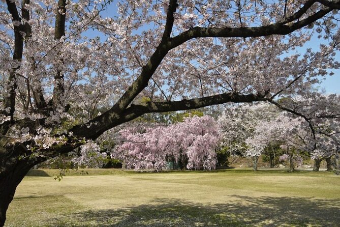 Kyotos World Heritage Walking Tour From Kyoto St. - Ninna-ji Temple