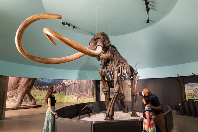 La Brea Tar Pits and Museum Admission Ticket With Excavator Tour - Ice Age Encounters