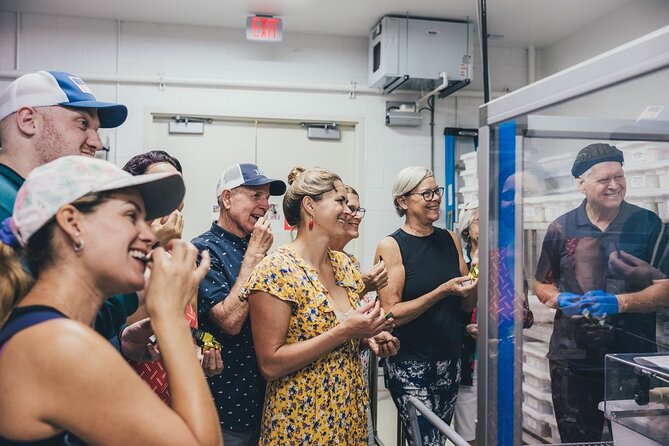 Lahaina Maui Kuia Estate Chocolate Factory Experience - Chocolate Production Insights