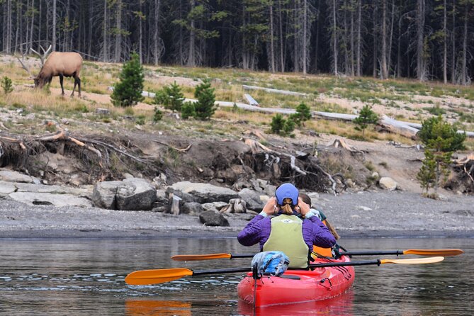 Lake Yellowstone Half Day Kayak Tours Past Geothermal Features - Health and Safety Considerations