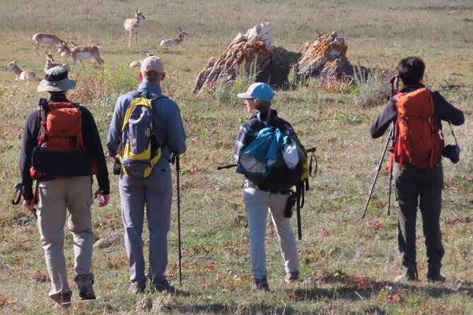 Lamar Valley Safari Hiking Tour With Lunch - Meeting Point and Time