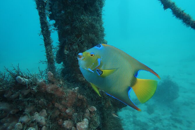 Luxury Snorkeling on Your Vacation Exclusively Private Guaranteed - Convenient and Flexible Scheduling Options