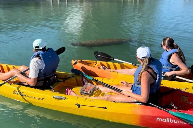 Manatee Discovery Anna Maria Island - Discovering the Wonders of Beer Can Island