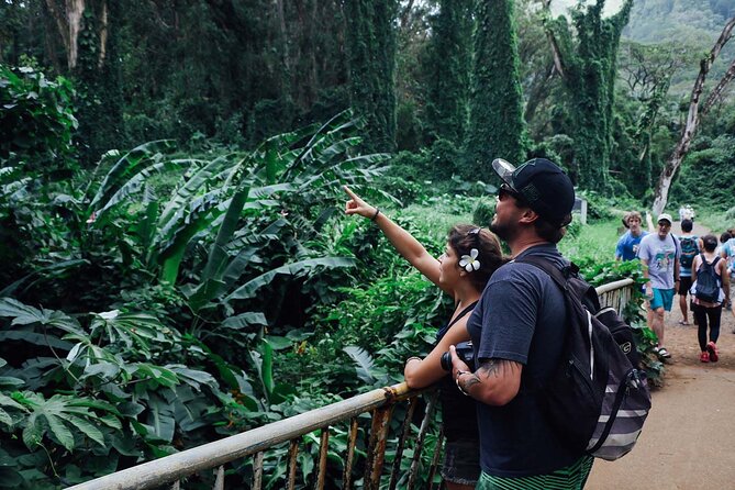 Manoa Waterfall Hike From Waikiki With Healthy Lunch Included - Lunch Options for the Hike