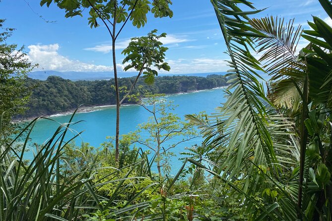 Manuel Antonio National Park, PRIVATE Day Tour From Jaco - What to Bring and Wear