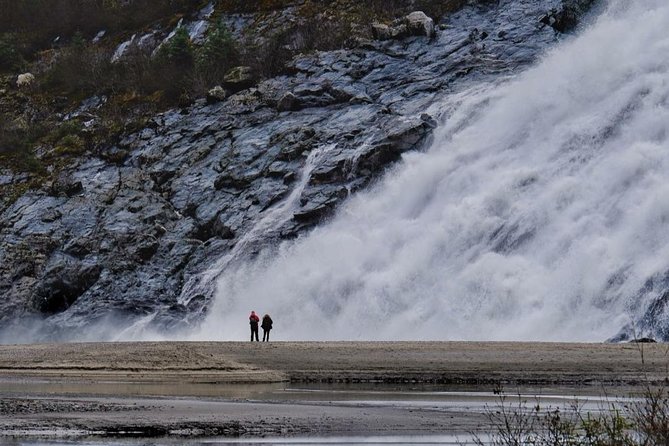Mendenhall Glacier Trolley Tour - Getting the Most Out of Your Visit