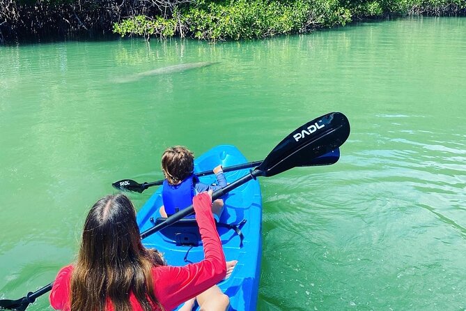 Miami Kayak and Paddleboard Rentals in Virginia Key - Customer Feedback and Reviews