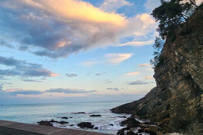 Michinoku Coastal E-Bike Tour in Tanohata With Guide - Engaging With the Local Guide and Interpreter