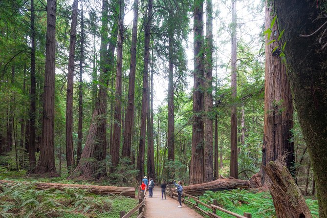 Mix & Save: Muir Woods and Sausalito + Escape From the Rock Cruise - Whats Included in Your Tour