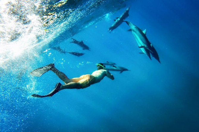 Molokini Snorkel and Performance Sail From Maalaea Harbor - Diverse Experiences and Personalized Service