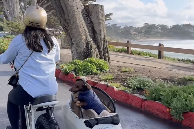 Monterey Bay Famous Dog Friendly Electric Bike and Sidecar Tour - Tips for a Successful Tour