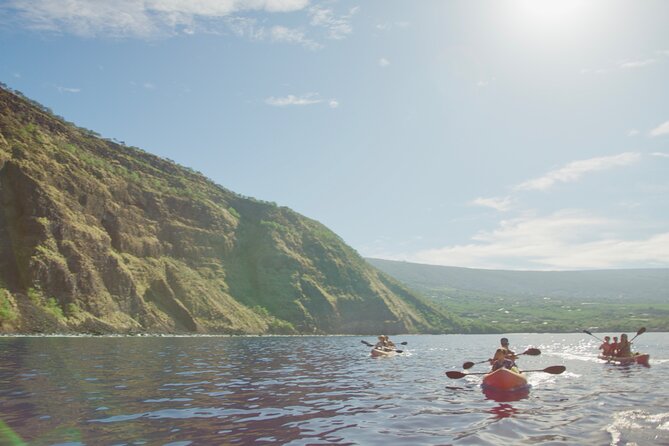 Morning Magic Kayak and Snorkel Adventure in Kealakekua Bay - Locally Sourced Lunch From the Coffee Shack