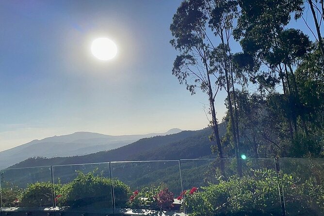 Mount Entoto View Point, Museum Palace Local Market & Food Tours - Meeting and Pickup Details