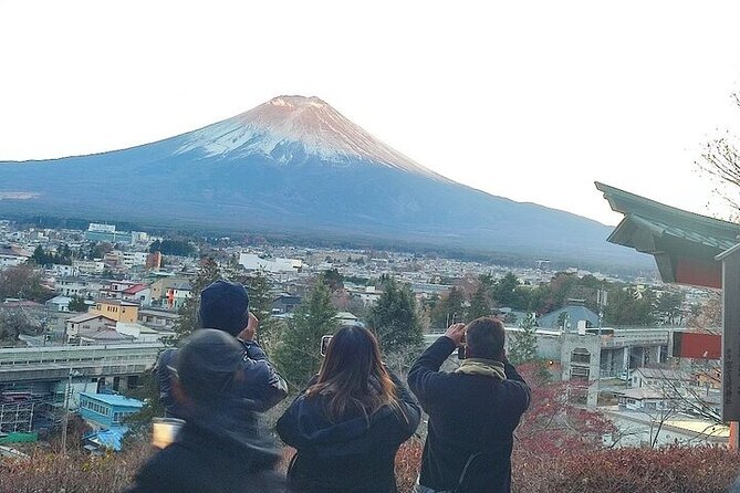 Mount Fuji and Hakone Full Day Private Sightseeing Tour - Reviews and Ratings