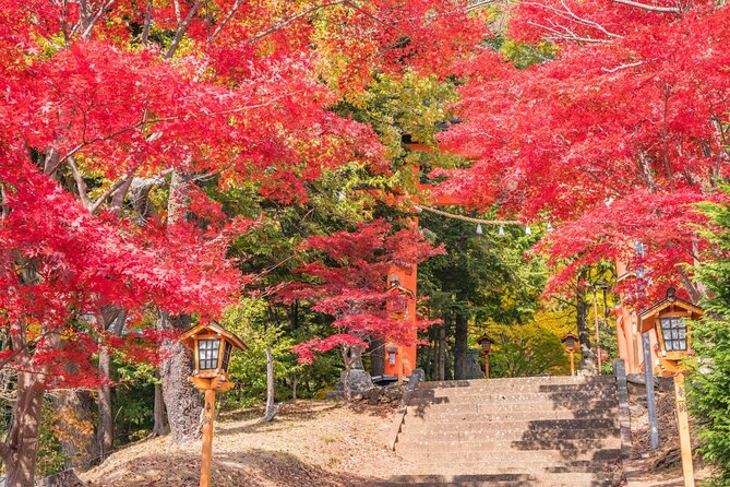 Mount Fuji Full Day Tour Form Tokyo Lake Kawaguchi & Yamanaka - Exploring Lake Kawaguchi