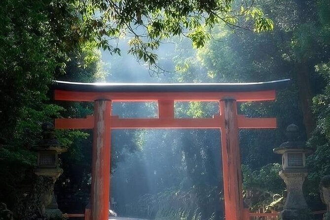 Mount Fuji Sightseeing One Day Tour From Shinjuku - Tour Options