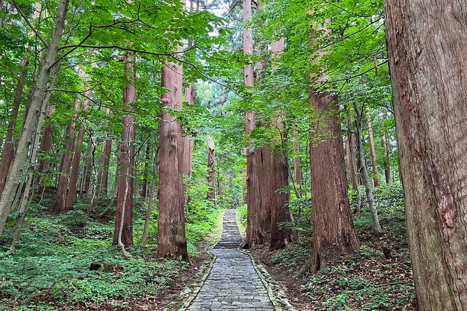 Mount Haguro E-Bike Sightseeing Tour in Yamagata, Japan - Scenic E-Bike Route