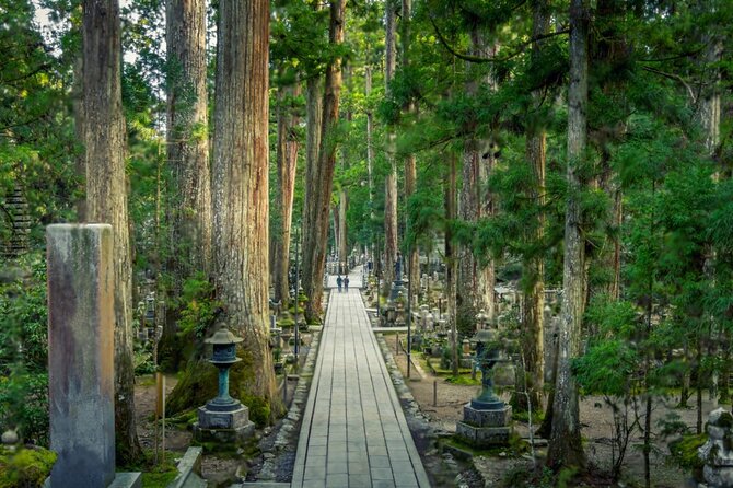 Mount Koya, Wakayama and Nachi Waterfall Tour - Nachi Waterfall Appreciation