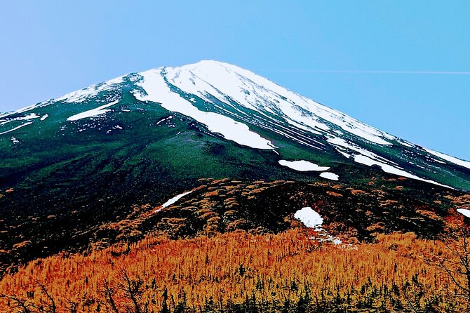 Mountain Fuji Tour In Japan With Professional English Tour Guide - Highlights of the Mt. Fuji Tour