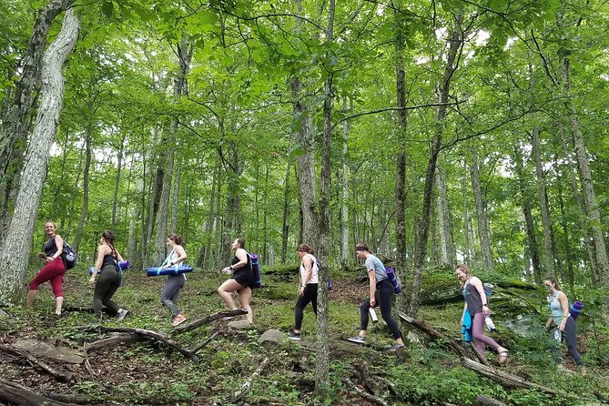 Mountaintop Yoga & Meditation Hike in Asheville - Breathtaking Views and Scenic Stops