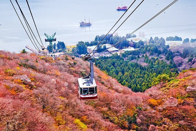 Mt. Fuji and Hakone Land Sea Air Tour With Free Skycar From Tokyo - Important Information