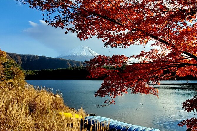 Mt. Fuji Guided Private Tour GREEN NUMBER PLATES - Highlights of the Mt. Fuji Experience