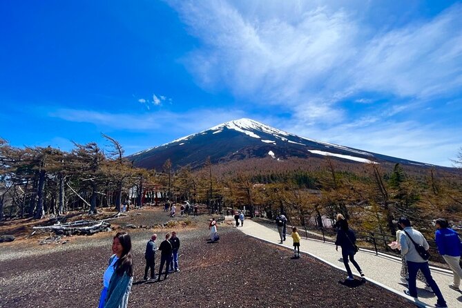 Mt. Fuji & Hakone Private Tour With English-Speaking Guide - Discovering Hakone