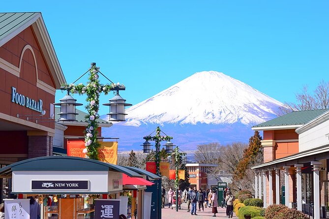 Mt. Fuji Luxury Getaway and Hakone Adventure by Private Car - Discovering Hakone