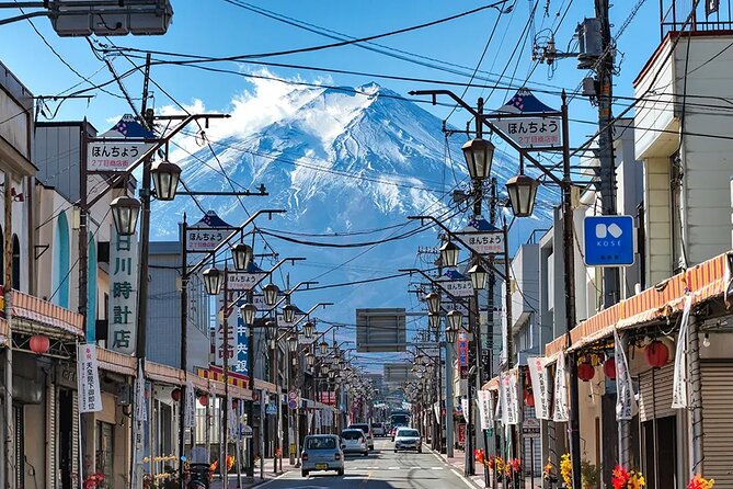 Mt Fuji Scenic Views and Lake Kawaguchi Floral Tour From Tokyo - Mt Fuji Scenic Views