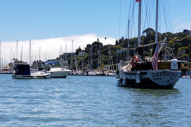Muir Woods and Sausalito Morning Tour Small-Group Half Day - Traveler Experiences