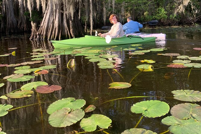 Mystical Private Kayak and Canoe Tours on Caddo Lake - Guest Feedback and Reviews
