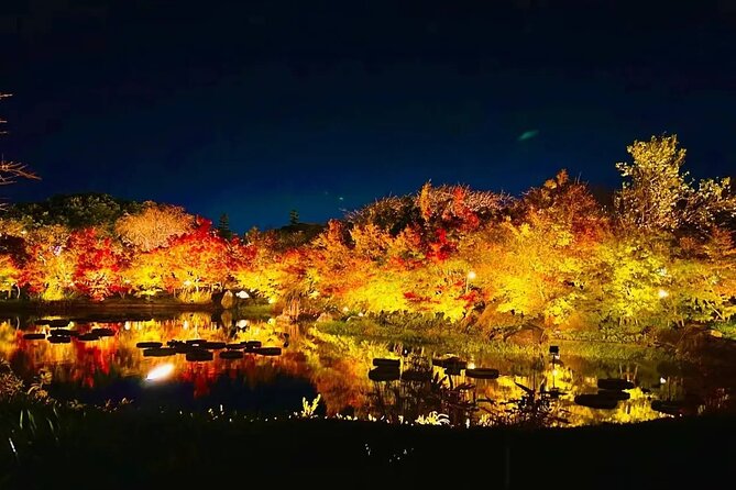 Nagashima Mitsu Outlet and Nabana No Sato Winter Illumination - Getting to the Meeting Point