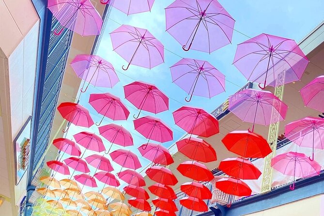 Nagashima Mitsui Park and Nagashima Hot Spring One Day Tour - Itinerary and Logistics